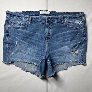 Torrid Womens Blue High Rise Distressed First At Fit Cut Off Denim Shorts Sz 24